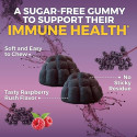 Sambucus Elderberry Gummies for Kids – Sugar-Free Immune Support with Vitamin C & Zinc (120 Count) Sambucus Elderberry Gummies for Kids – Sugar-Free Immune Support with Vitamin C & Zinc (120 Count)