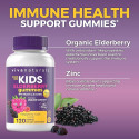 Sambucus Elderberry Gummies for Kids – Sugar-Free Immune Support with Vitamin C & Zinc (120 Count) Sambucus Elderberry Gummies for Kids – Sugar-Free Immune Support with Vitamin C & Zinc (120 Count)