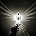 3D Animal LED Wall Light – Owl & Eagle Art Decorative Sleep Night Lamp for Home Decor 3D Animal LED Wall Light – Owl & Eagle Art Decorative Sleep Night Lamp for Home Decor